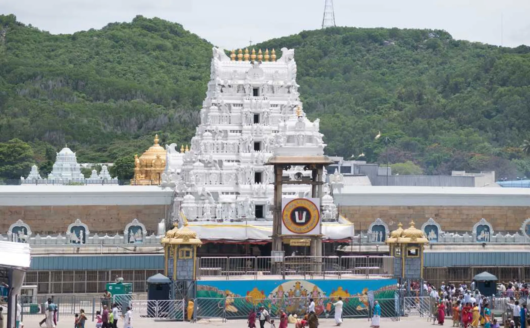 tirumala tirupati devasthanam board members appointed 